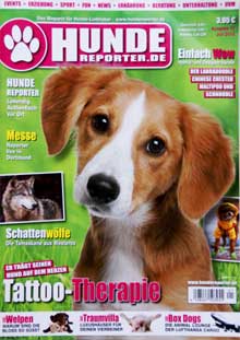 Asterix in Hunde-Reporter