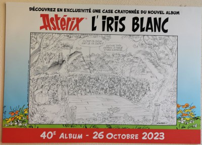 Iris-Blanc.jpg